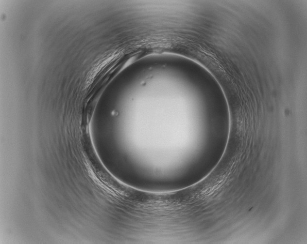 X0000059240538200510171434