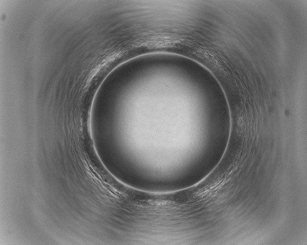 X0000059240539200510171434