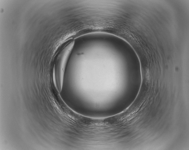 X0000059240540200510171434