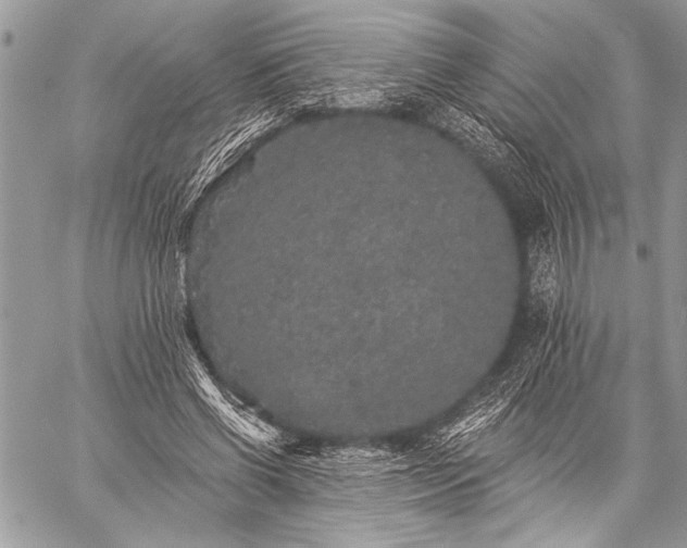 X0000059240542200510171434