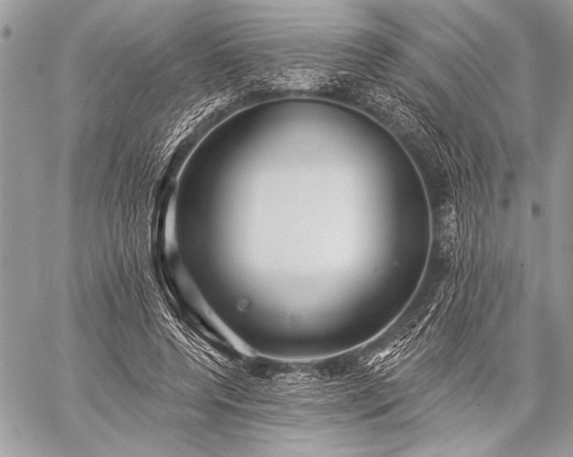 X0000059240544200510171434