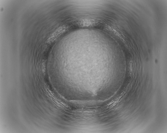 X0000059240545200510171434