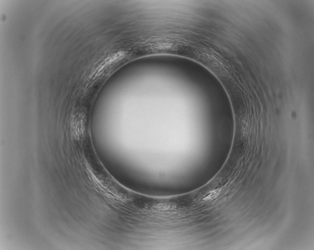 X0000059240546200510171434