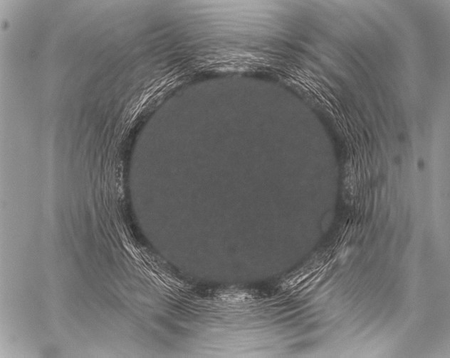 X0000059240547200510171434