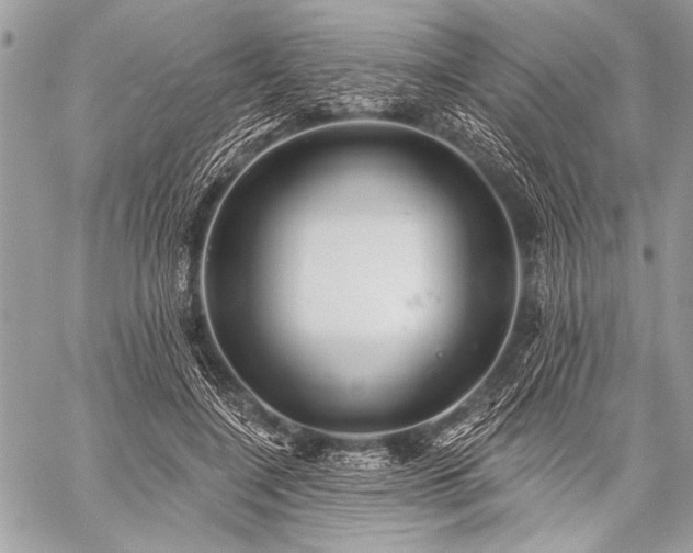 X0000059240548200510171434