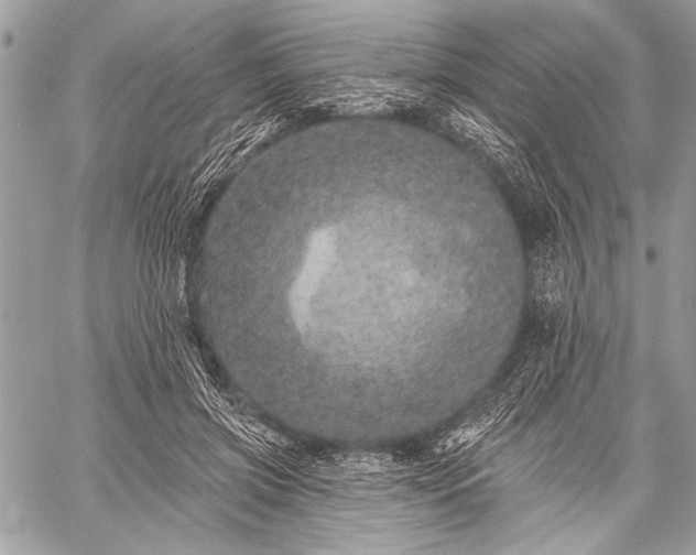 X0000059240549200510171434