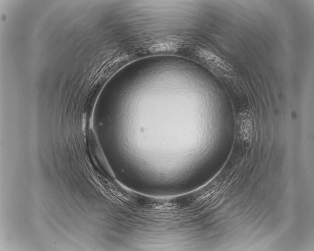 X0000059240550200510171434