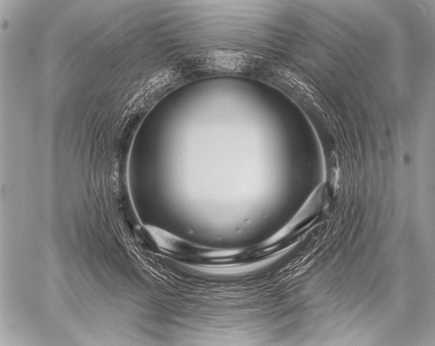 X0000059240552200510171434