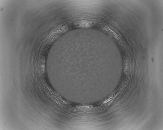 X0000059240553200510171434