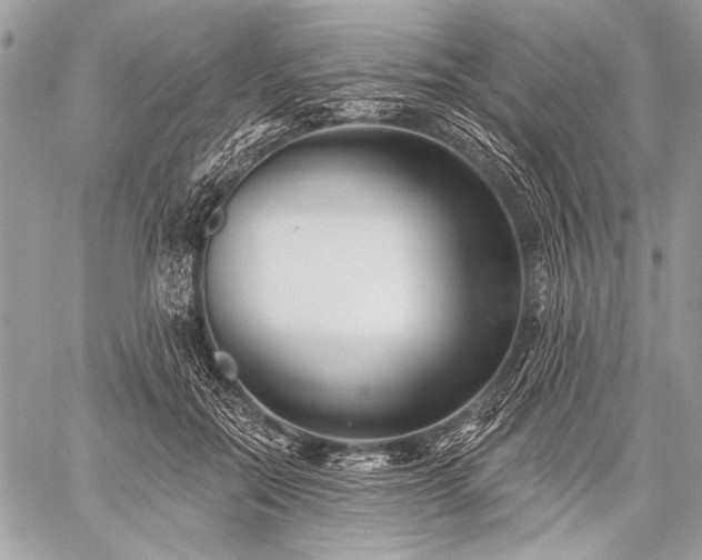 X0000059240554200510171434