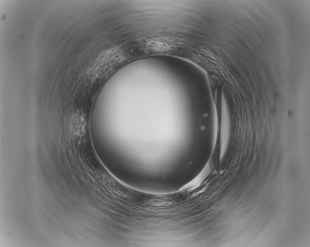 X0000059240555200510171434