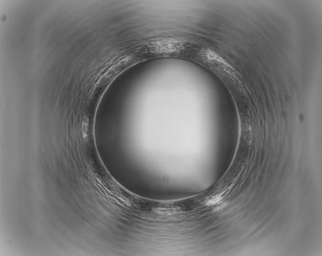 X0000059240556200510171434