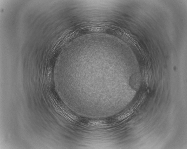 X0000059240557200510171434