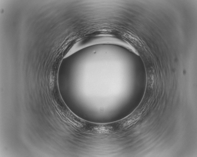 X0000059240558200510171434