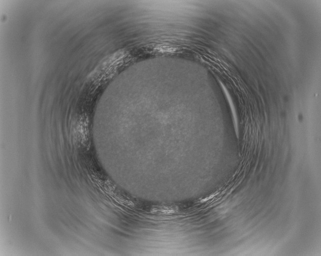 X0000059240559200510171434