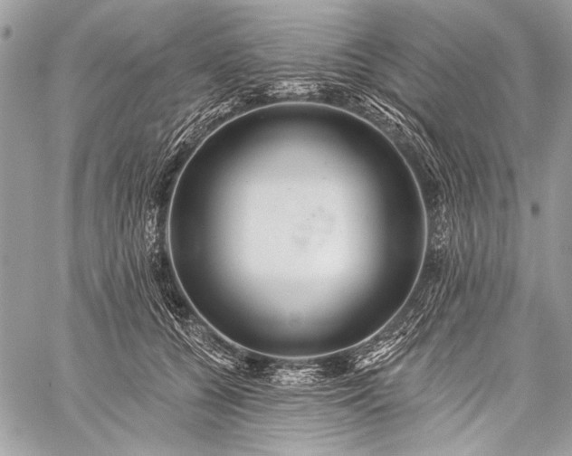 X0000059240560200510171434