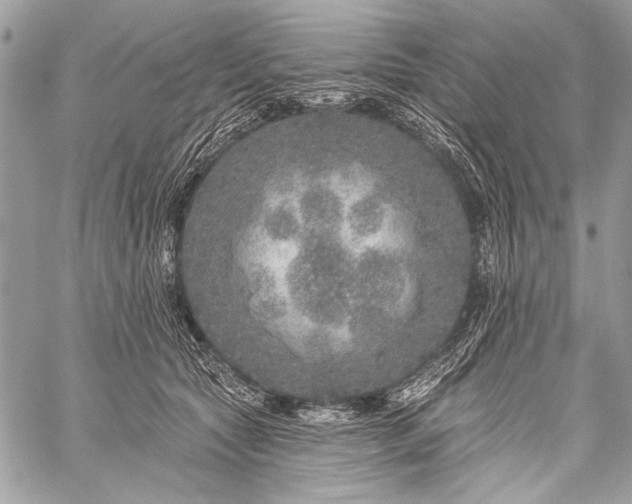 X0000059240561200510171434