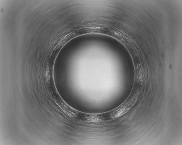 X0000059240562200510171434