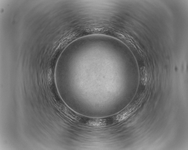 X0000059240563200510171434