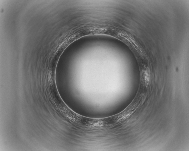 X0000059240564200510171434