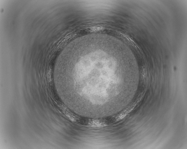 X0000059240565200510171434