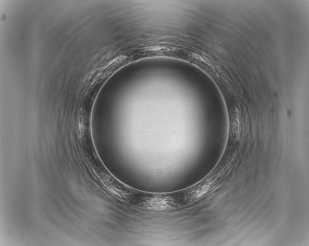 X0000059240566200510171434