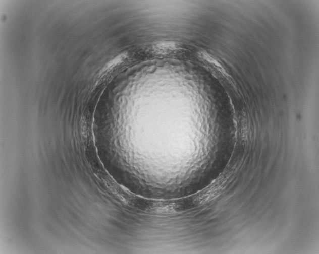 X0000059240569200510171434