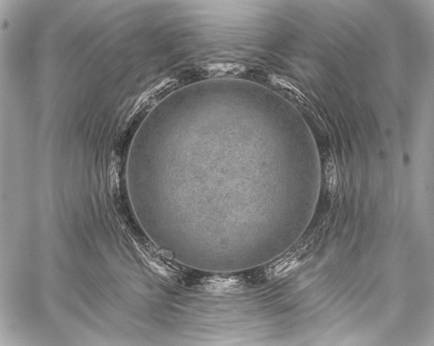 X0000059240570200510171434