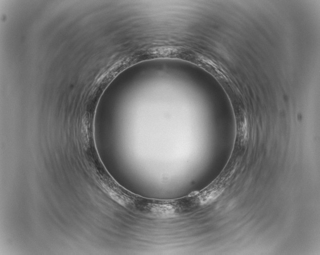 X0000059240572200510171434