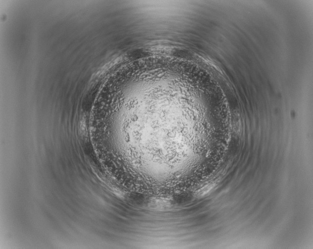 X0000059240573200510171434