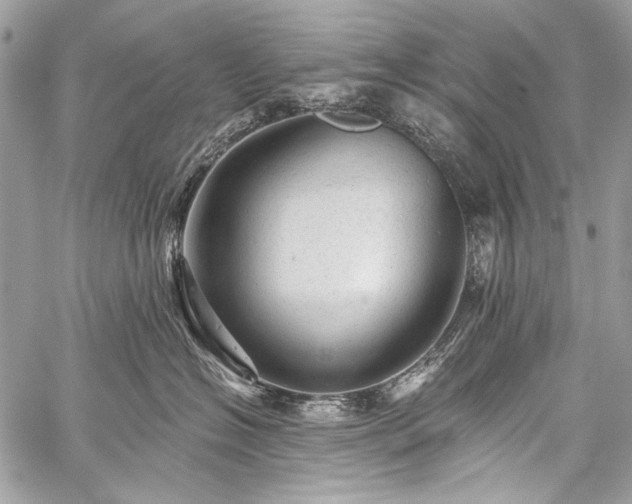 X0000059240574200510171434