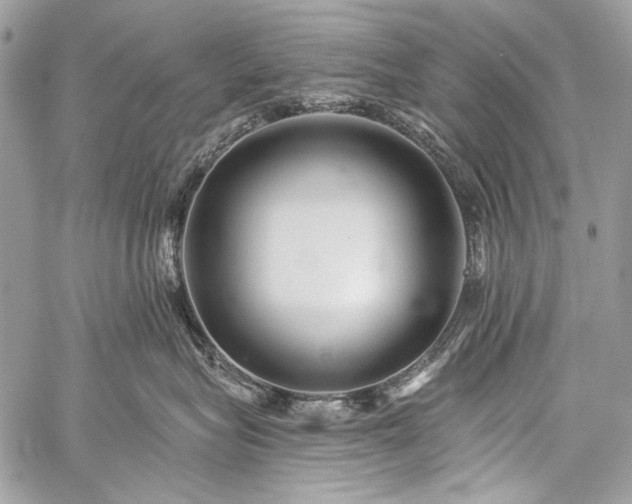 X0000059240575200510171434