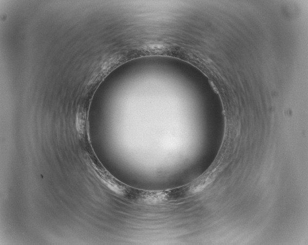 X0000059240576200510171434