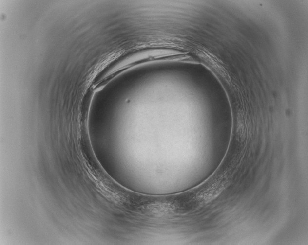 X0000059240578200510171434