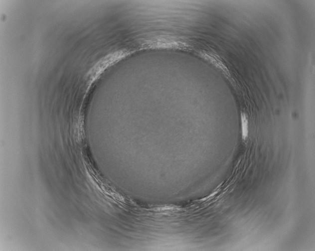 X0000059240579200510171433