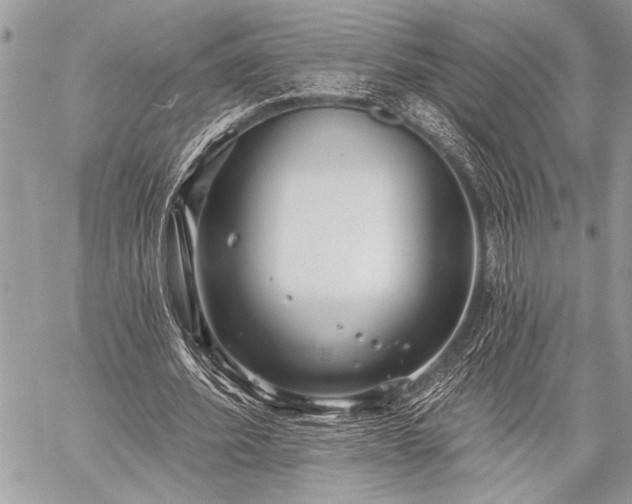 X0000059240580200510171433