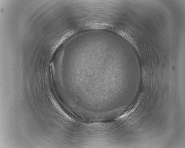 X0000059240581200510171433