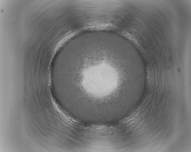 X0000059240582200510171433