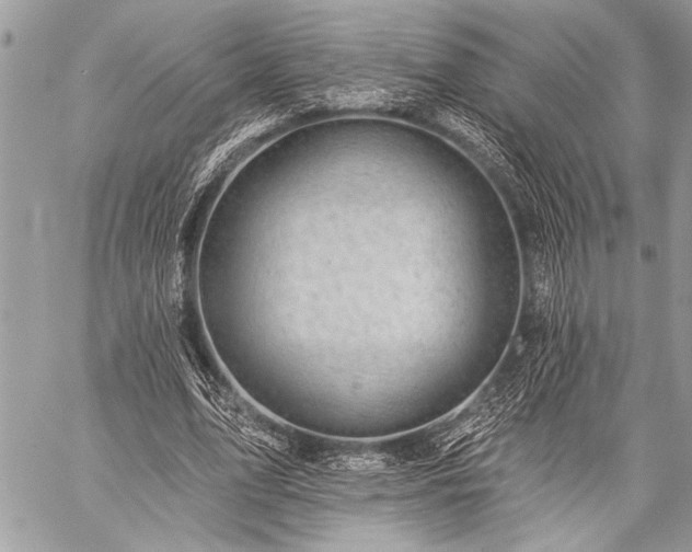 X0000059240583200510171433