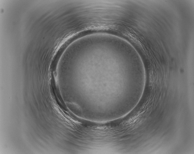 X0000059240584200510171433