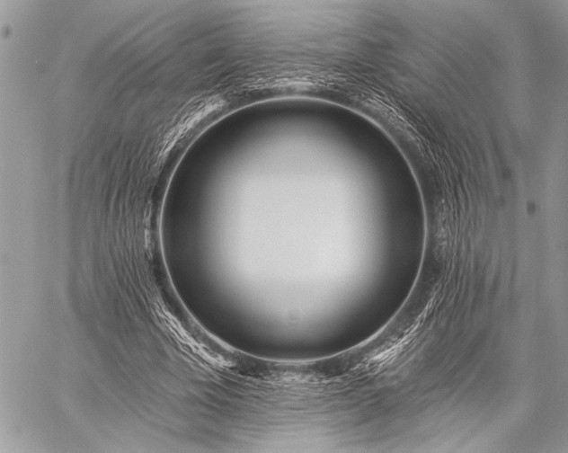 X0000059240585200510171433