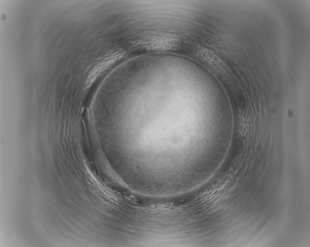 X0000059240586200510171433