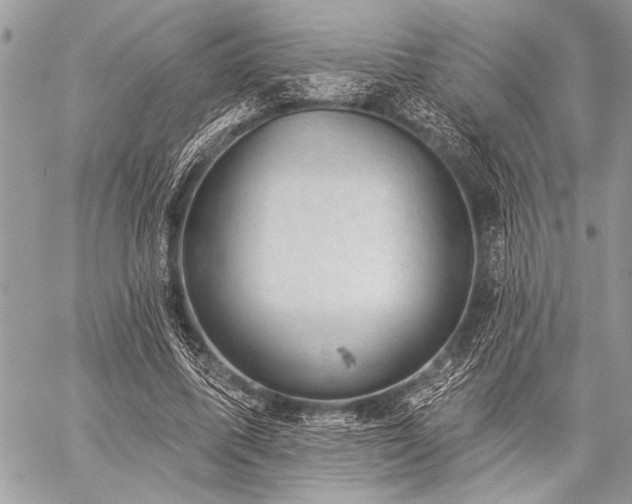 X0000059240587200510171433