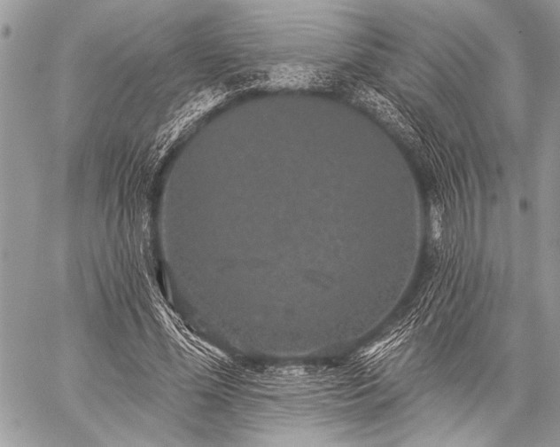 X0000059240588200510171433