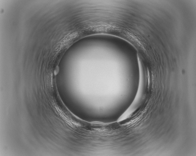 X0000059240589200510171433