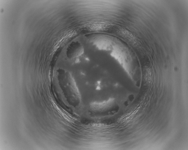 X0000059240590200510171433