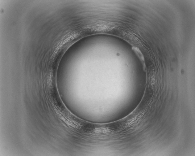 X0000059240591200510171433