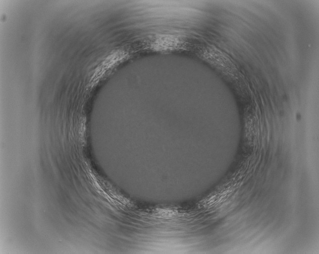 X0000059240592200510171433