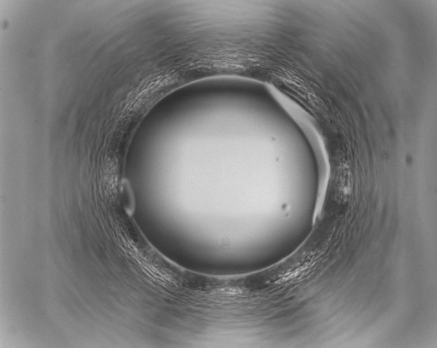 X0000059240593200510171433