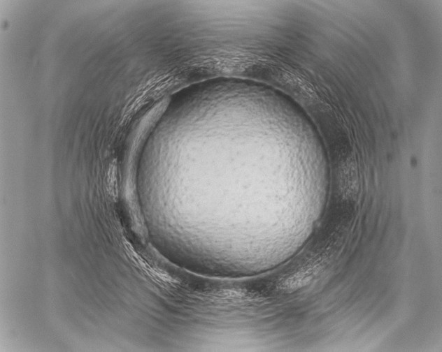 X0000059240594200510171433